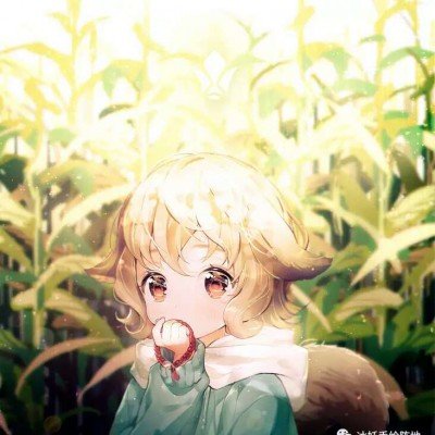 小胖 TTG